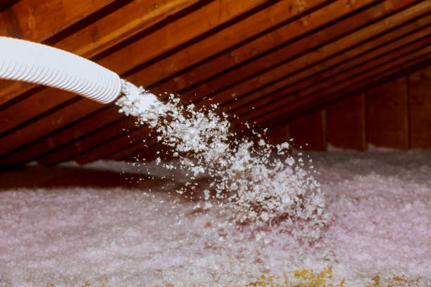 Best Commercial Insulation in Banner Hill, TN