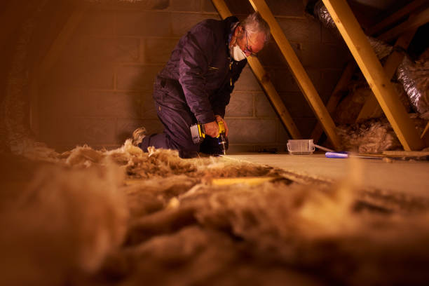 Best Insulation Maintenance and Repair in Banner Hill, TN